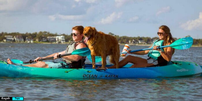 Can You Kayak With a Dog