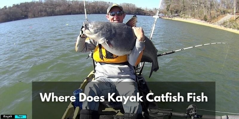 Where Does Kayak Catfish Fish