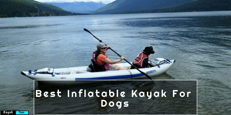 Best Inflatable Kayak For Dogs